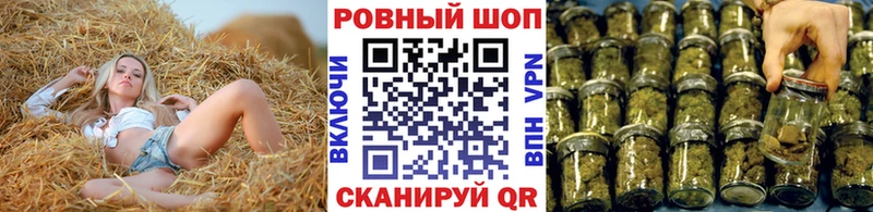 Альфа ПВП Дмитровск