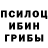 Псилоцибиновые грибы ЛСД Holostyaki Com