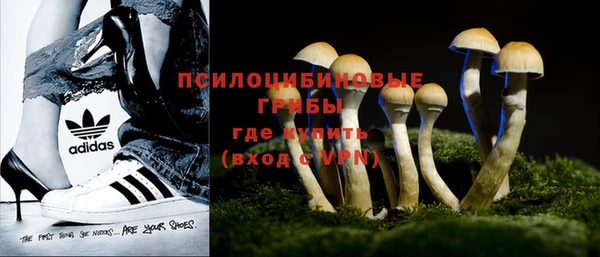 дурь Волгодонск