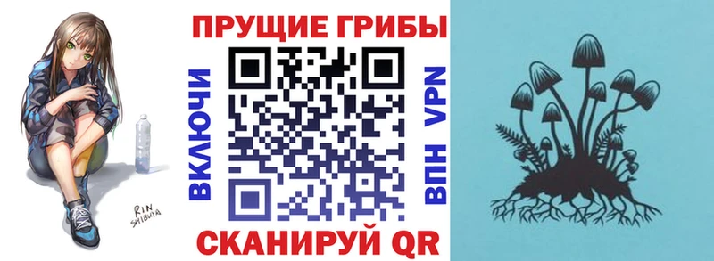 закладки Дмитровск Псилоцибиновые грибы GOLDEN TEACHER