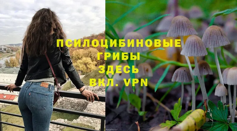 Галлюциногенные грибы Magic Shrooms  купить наркоту  Дмитровск 